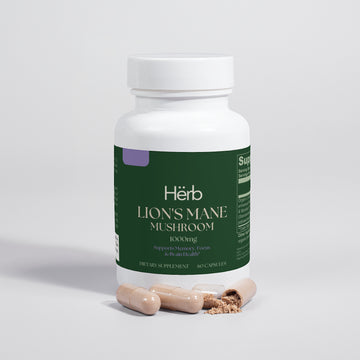 Lion's Mane Mushroom by Hërb