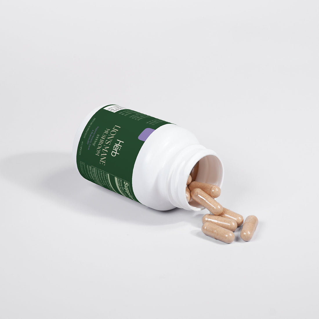 Lion's Mane Mushroom by Hërb