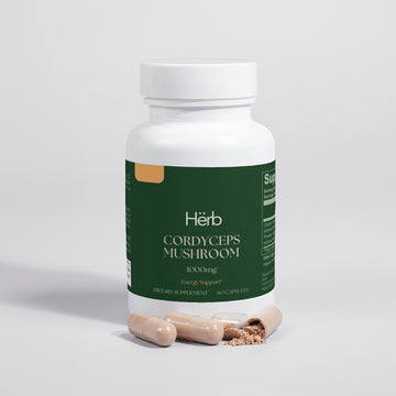 Cordyceps Mushroom by Hërb