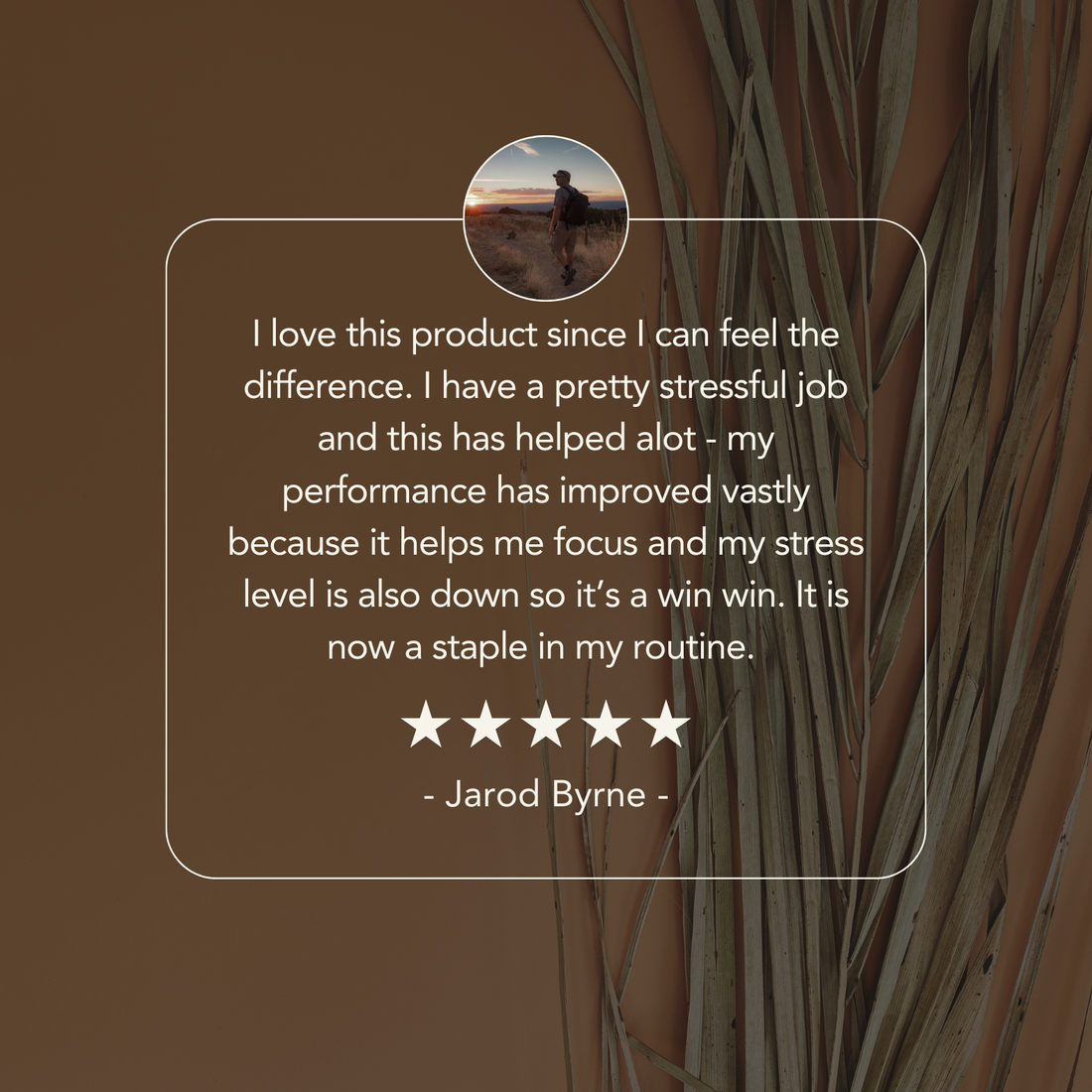 Mushroom Complex 10 X